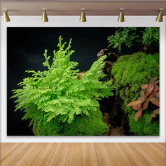 Lofaris Lush Green Moss Plant Photography Backdrop with Fern and Dark Background, Natural Scenery Studio Background for Portraits