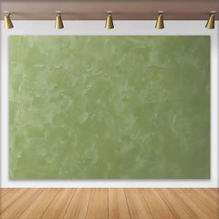 Lofaris Sage Green Abstract Textured Backdrop, Natural Plaster Photography Background, Professional Studio Prop