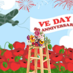 Lofaris Military Aircraft Red Floral Sparkle VE Day Backdrop