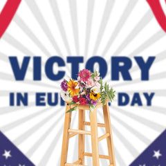 Lofaris Usa Flag Stripe Stars Victory In Europe Day Backdrop