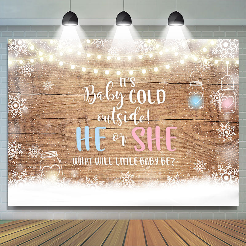 Lofaris Baby Its Cold Outside Gender Reveal Shower Backdrop