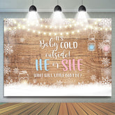 Lofaris Baby Its Cold Outside Gender Reveal Shower Backdrop