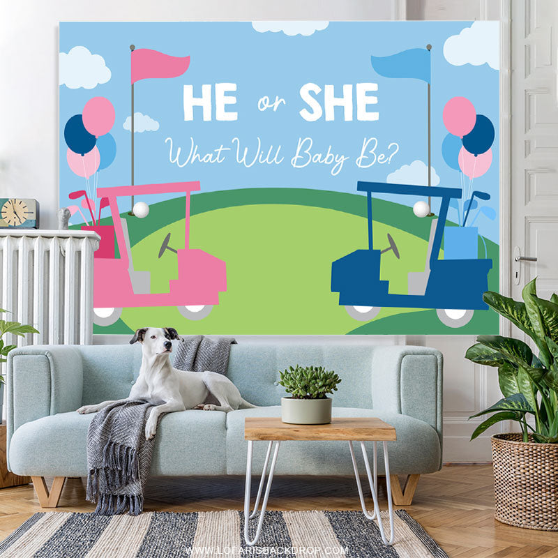 Lofaris Blue And Pink Bike He Or She Baby Shower Backdrops