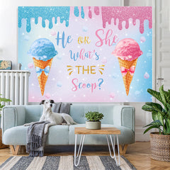 Lofaris Blue And Pink He Or She Ice Cream Baby Shower Backdrop