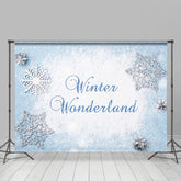 Lofaris Blue And White Snowflake Winter Wonderland Backdrop