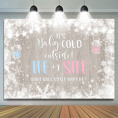Lofaris Cold Winter Snowflake Gender Reveal Baby Shower Backdrop