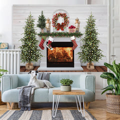 Lofaris Fireplace Snow Socks Christmas Tree Lights White Wall Backdrop