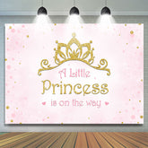 Lofaris Gold Crown And Pink Little Prinecss Birthday Party