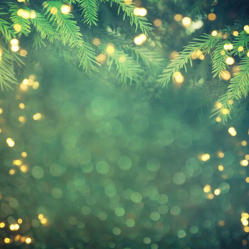 Lofaris Green Leaves Gold Glitter Christmas Bokeh Backdrop for Party