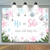 Lofaris He or She Silver Pellet Snowflake Baby Shower Backdrop