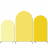 Lofaris Light Yellow Combination Birthday Arch Backdrop Kit