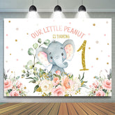 Lofaris Litter Peanut Is Turning One Birthday Backdrop