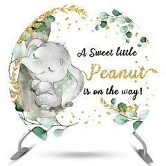 Gold Glitter First Holy Round Baby Shower Backdrop