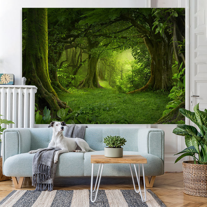 Lofaris Mysterious And Quiet Forest Jungle Spring Backdrop