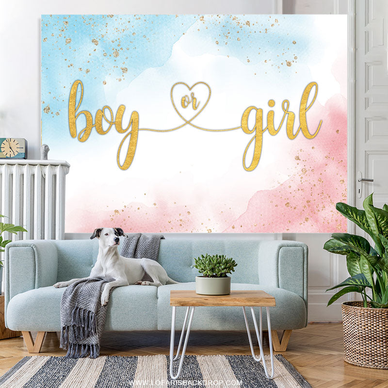 Lofaris Simple Baby Blue And Pink Gender Reveal Backdrop