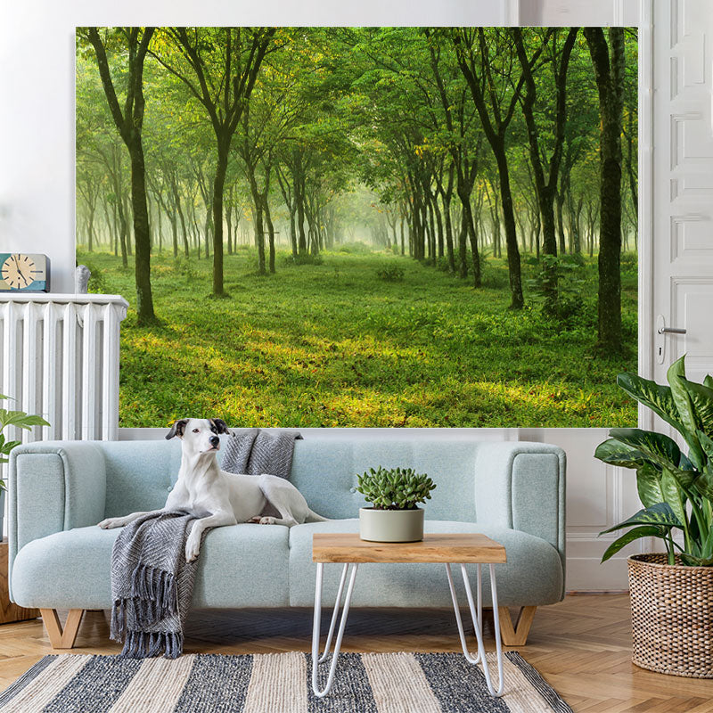 Lofaris Simple Green Grass And Forest Peaceful Spring Backdrop