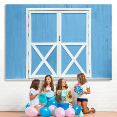 Lofaris Simple White And Blue Door Wooden Wall Spring Backdrop