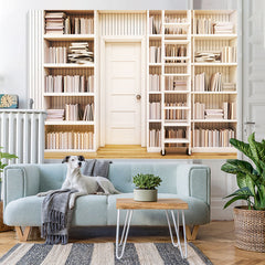 Lofaris Study room white bookshelves back to school backdrop