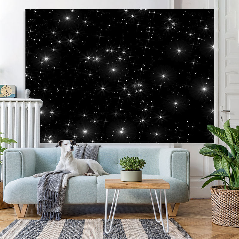 Lofaris twinkle dark starry night baby shower backrop