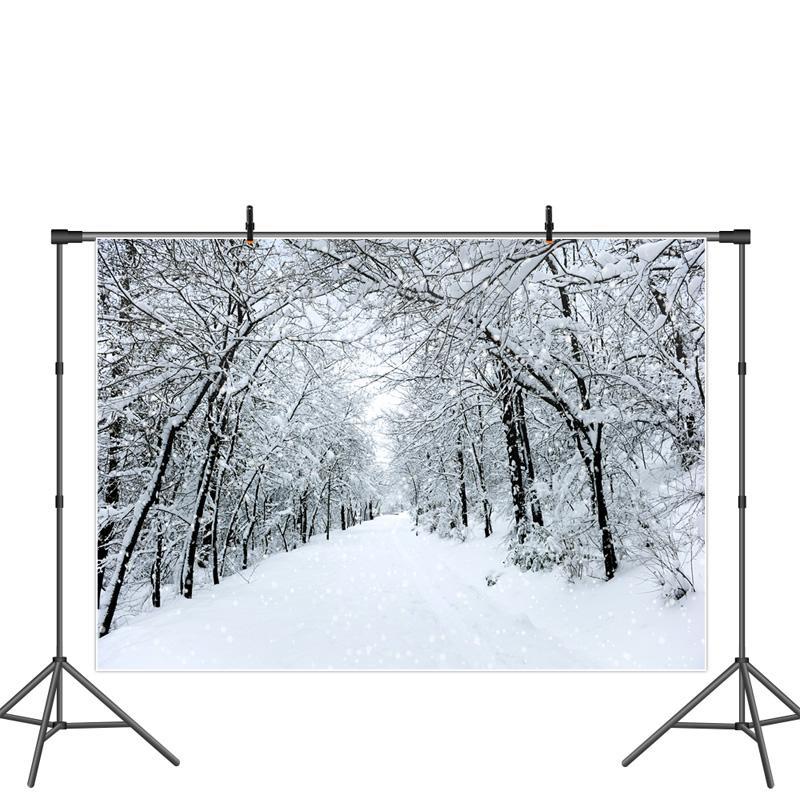 Lofaris White And Snowy Highway With Trees Winter Backdrop