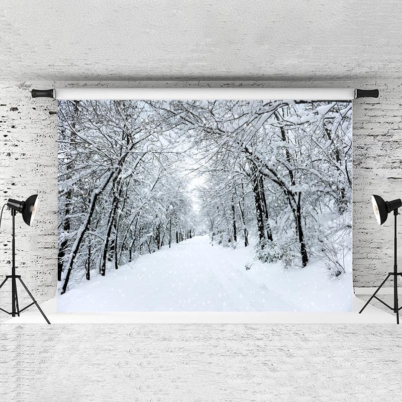 Lofaris White Snowy Highway And Plenty Trees Winter Backdrop