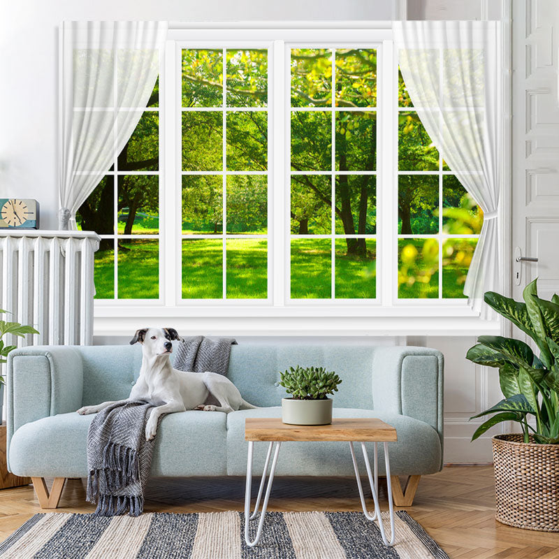 Lofaris White Window With Green Forest Outside Spring Backdrop