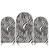 Lofaris Zebra Inspired Theme Birthday Party Arch Backdrop Kit