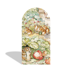 Peter Rabbit Birthday Baby Shower Party Arch Backdrop Wall Cloth Cover
