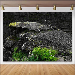 Lofaris Dark Textured Rock Photography Backdrop with Green Moss, Natural Studio Background for Professional Portrait