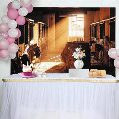 Lofaris Rustic Barn Photography Backdrop with Sunlight and Hay Bale, Warm Stable Background for Farmhouse Photoshoot