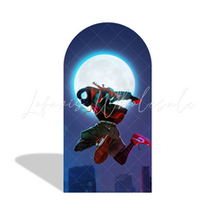 Spiderman Theme Birthday Party Arch Backdrop Wall Cloth Cover