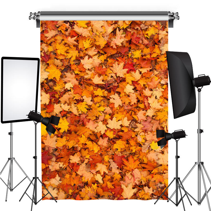 Lofaris Besutiful Red Fallen Leaves Autumn Backdrop for Photo