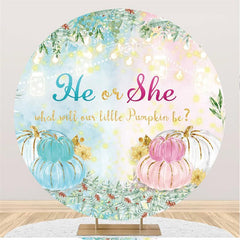 Lofaris Blue And Pink Pumpkin Light Round Baby Shower Backdrop