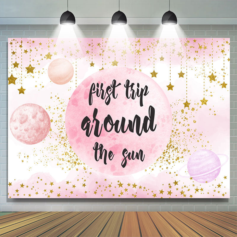 Lofaris First Trip Around The Sun Pink Gold Birthday Backdrop