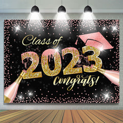 Lofaris Pink Gold Glitter Champagne 2023 Graduation Backdrop