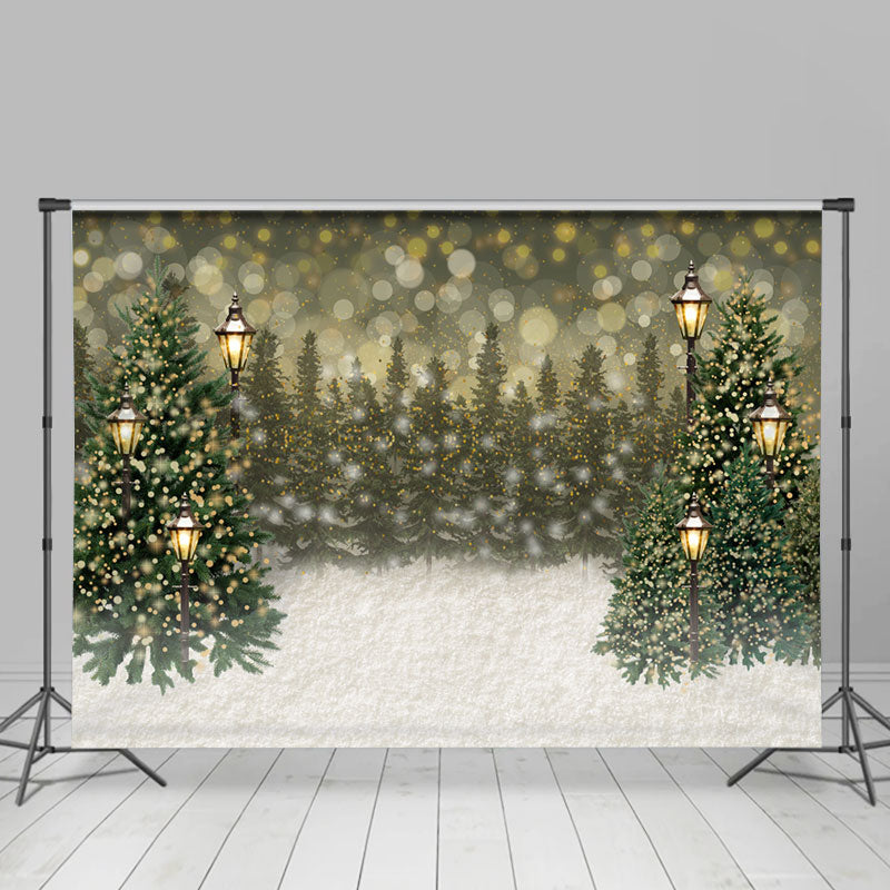 Lofaris Simple Lighting Bokeh Snowy Happy Holiday Backdrop