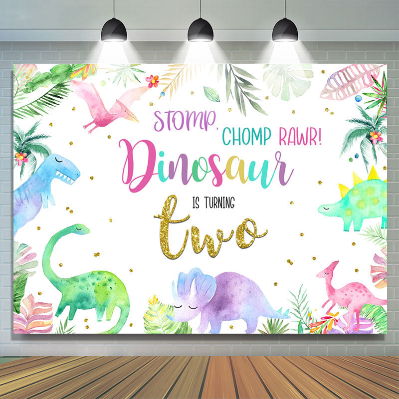 Lofaris Stomp Chomp Rawr Dinosaur Is Turning Two Birthday Backdrop